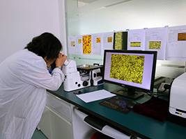 3377体育 - 全网最全最有态度的体育赛事直播平台